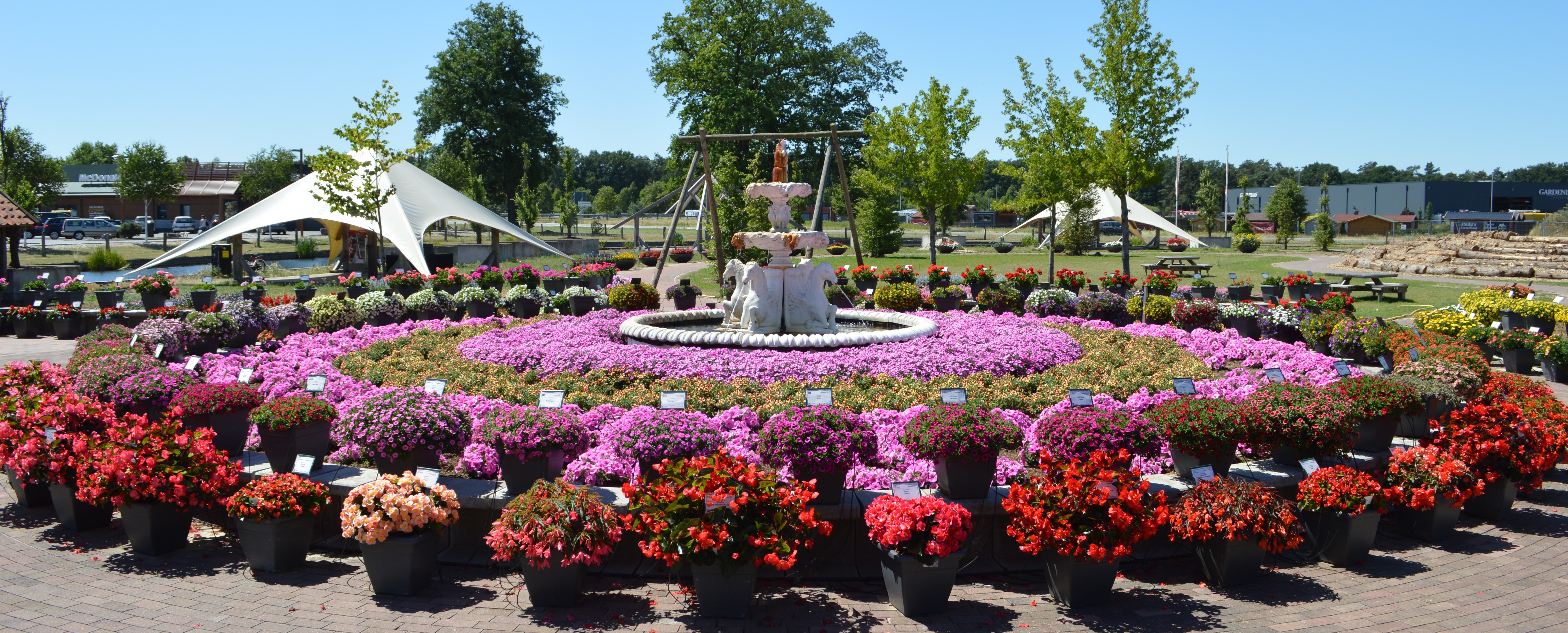 Display Gardens