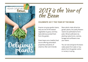2017 Year of the Bean Short article small