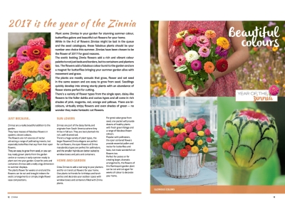 2017 Year of the Zinnia Long article1 small