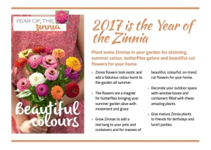 2017 Year of the Zinnia Short article small