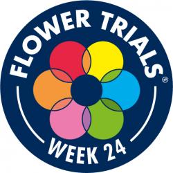 Flower Trials week 2022