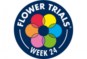 FlowerTrials week24