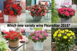 FleuroStar Entries 2019 compilation